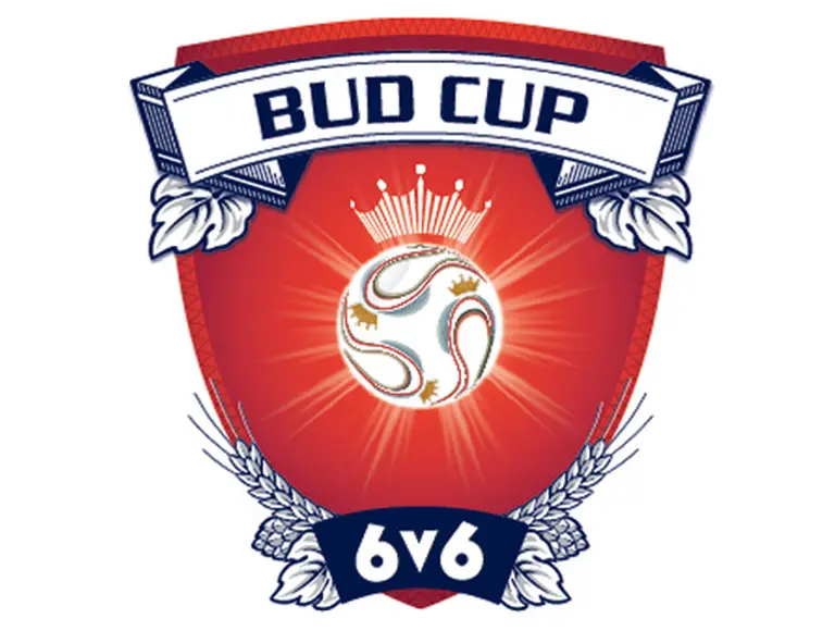 La Copa Budweiser este año vive su final en la cancha de la Bombonera