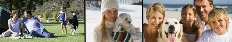 Vacaciones con mascotas: lugares donde ellos también son bienvenidos