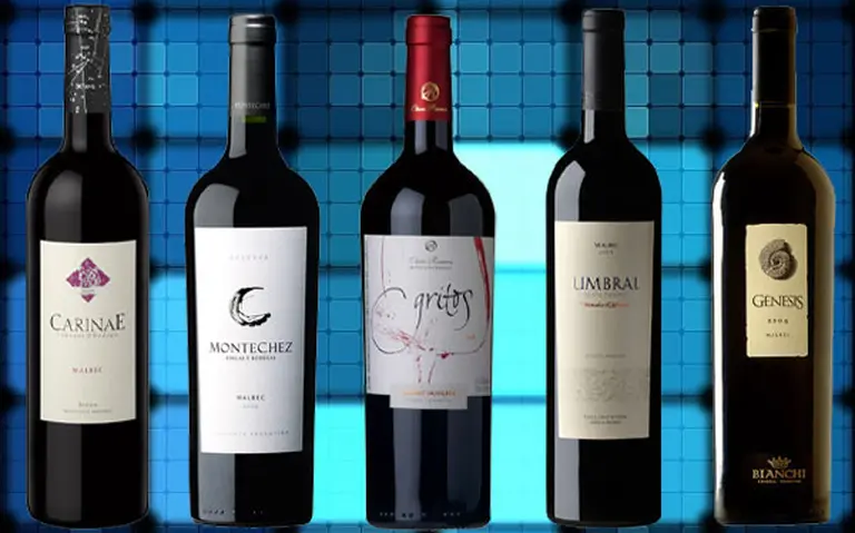 Vinos recomendados: cinco etiquetas con el toque justo de madera que no podés dejar de probar