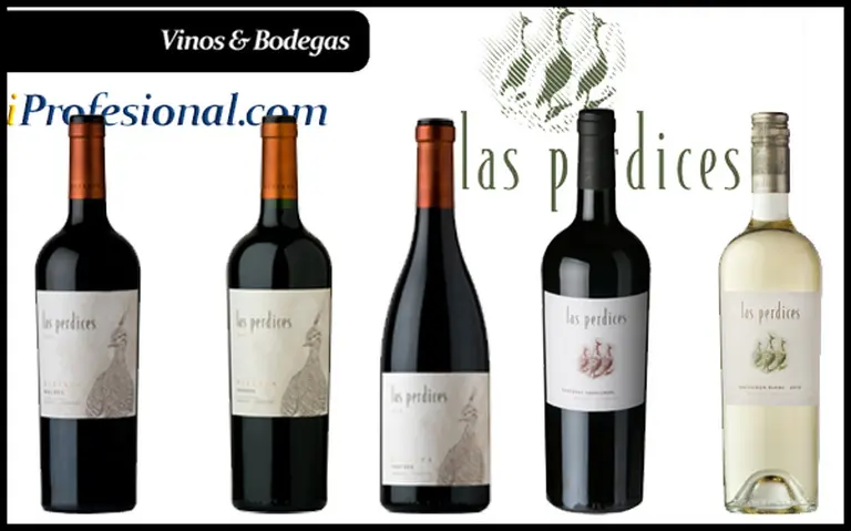 Viña Las Perdices y Vinos & Bodegas te premian con la mejor selección de vinos de alta gama