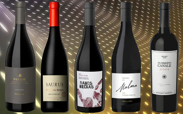 Top 5: vinos tintos con el sello de la Patagonia que no podés dejar de probar