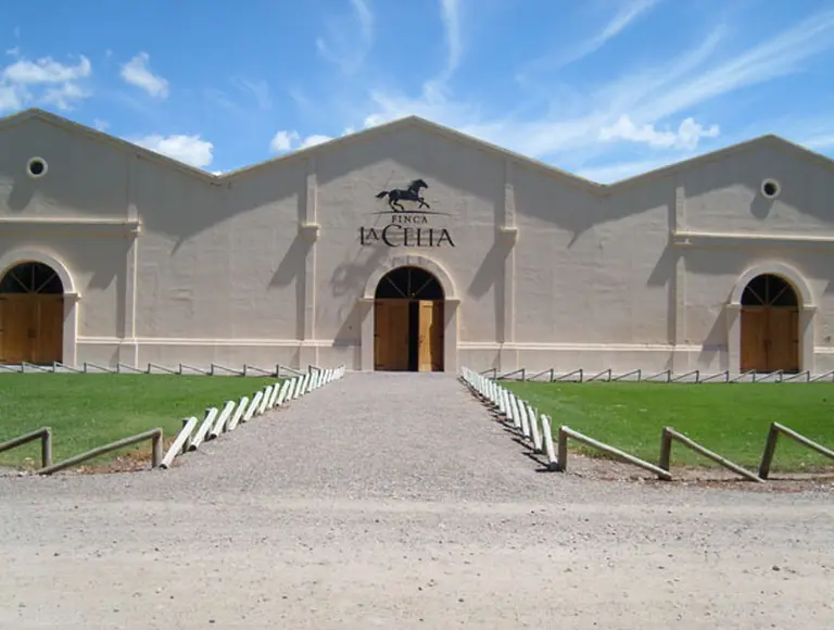 Enoturismo en Finca La Celia: cuando el secreto está en los detalles
