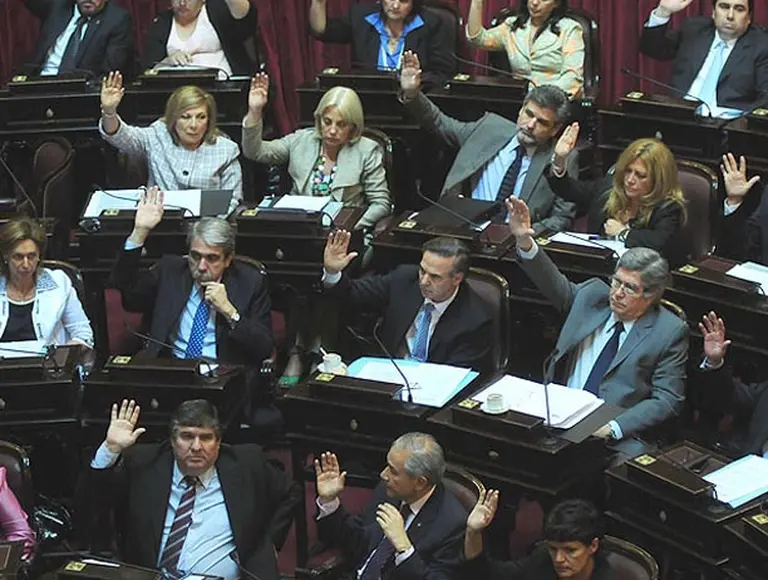 El Senado dio media sanción a la polémica reforma que limita las medidas cautelares