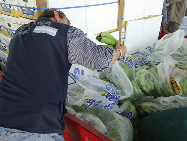 La AFIP investiga al mayor importador de bananas y el precio se dispara 120%