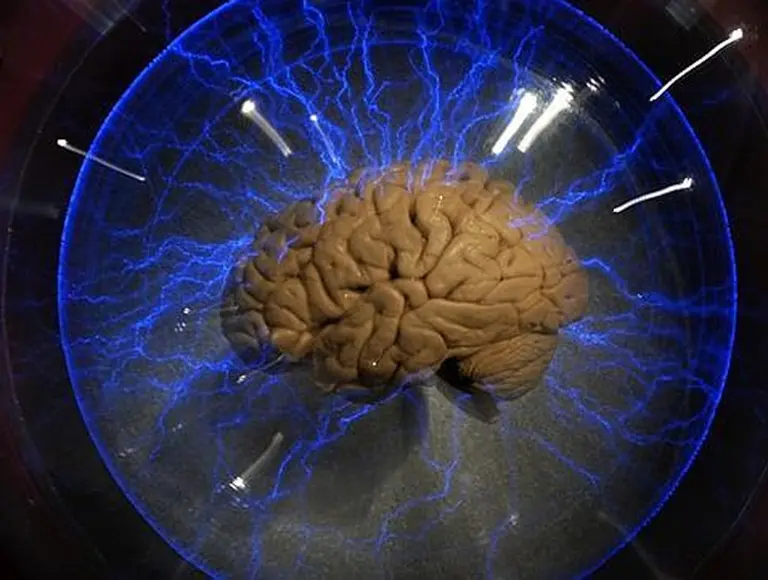 Revelan el ranking de las 10 personas más inteligentes del mundo