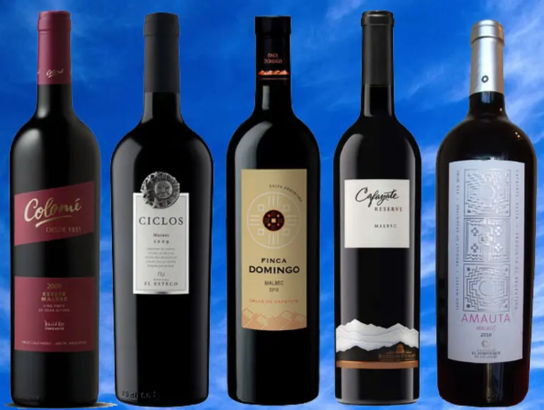 Cinco Malbec de Salta recomendados y aptos para todos los bolsillos