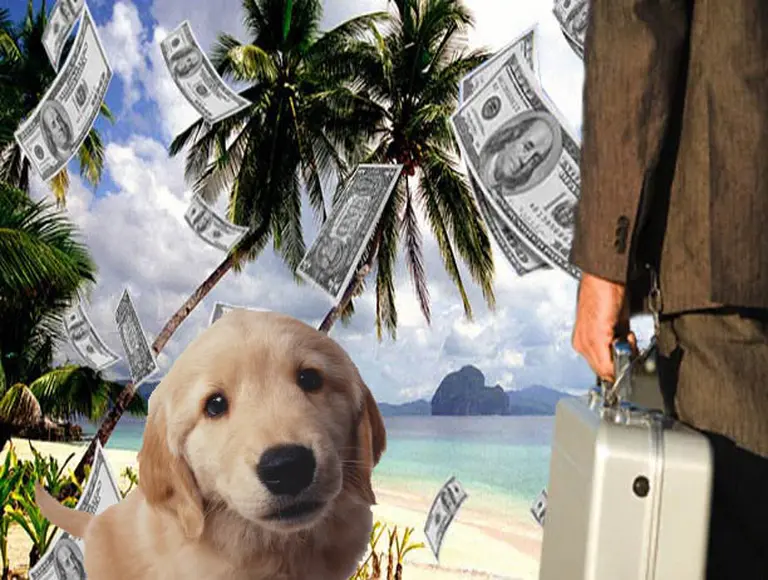 Los paraí­sos fiscales ganan con la crisis económica global