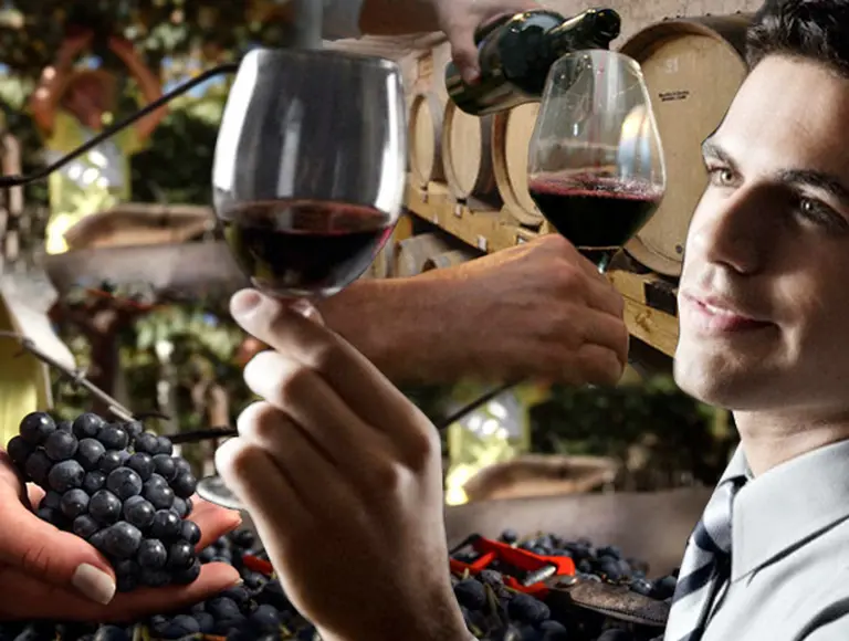 Conozca cuánto ganan hoy los profesionales en el competitivo negocio del vino