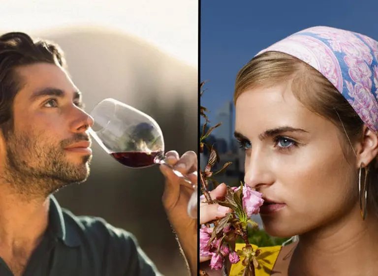 Si querés percibir un aroma, no cierres los ojos: descubren que la vista es aliada del olfato