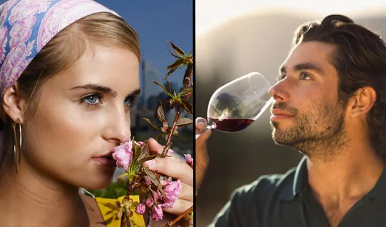 ¿Cuáles son los 10 olores básicos que reconoce el olfato?