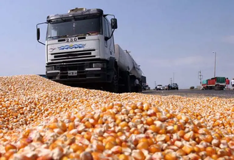Los dueños de camiones de granos protestan en 350 accesos a puertos y rutas