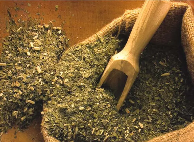 Molinos yerbateros afirman que venden con normalidad pese a que pierden $4 por cada kilo de yerba
