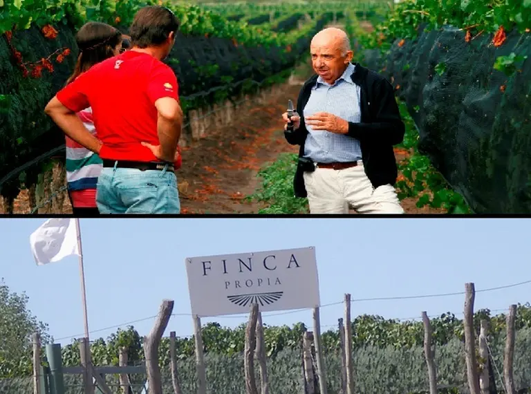 Vivir una vendimia en una finca propia, un sueño más que posible