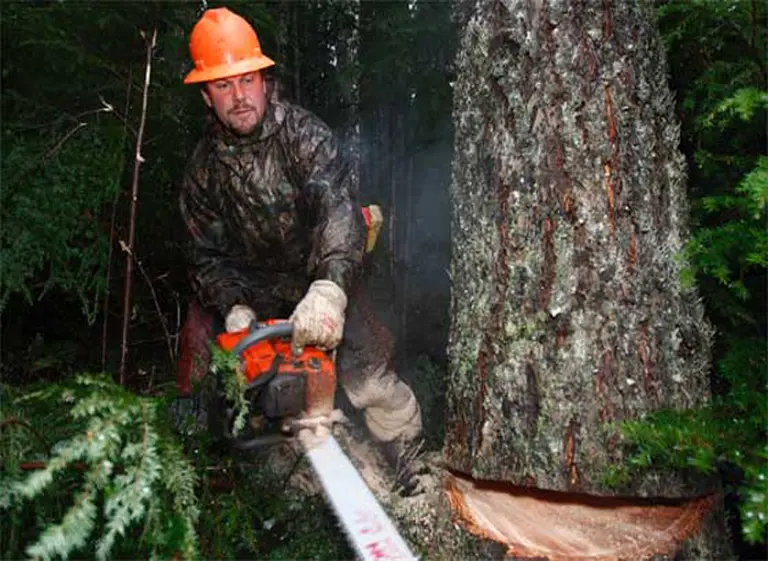 Conozca si su trabajo está entre los diez "peores" del mundo