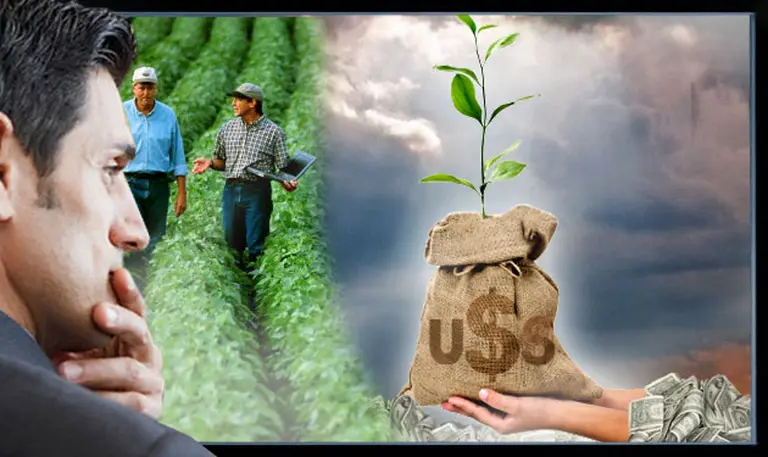 Pooles: auge y caí­da del gran demonio de la agricultura argentina