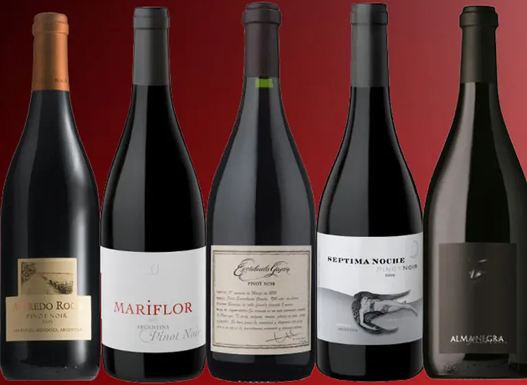Vinos recomendados: cinco Pinot Noir para saber qué hay más allá de la Patagonia