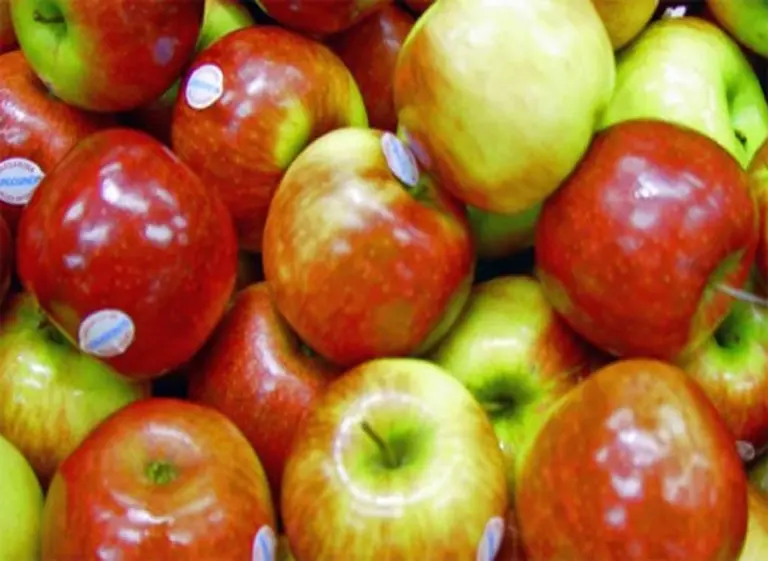 La Argentina, a un paso de exportar peras y manzanas a China