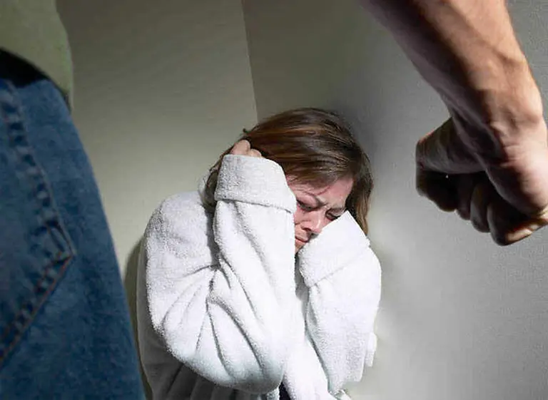 Buscan por ley dar sostén económico por seis meses a ví­ctimas de violencia doméstica