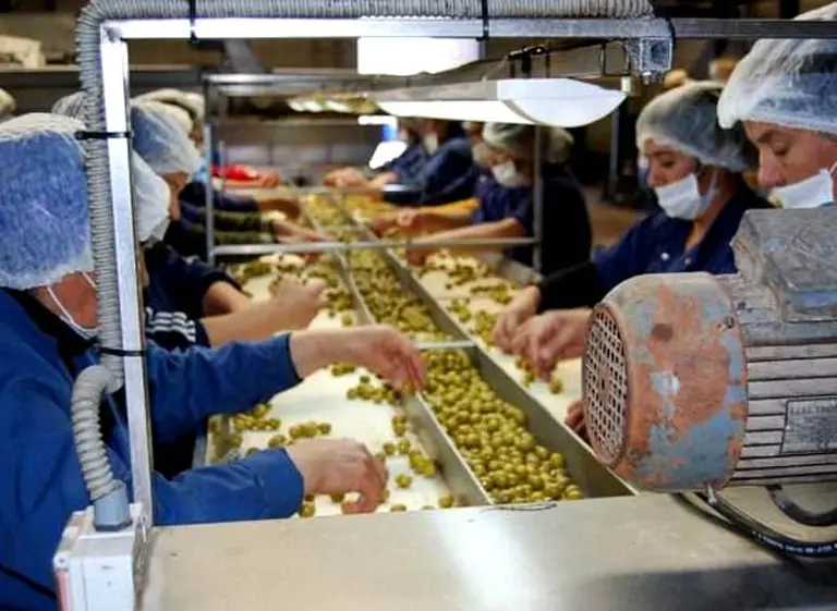 La familia del ministro Manzur y Nucete crean la mayor empresa de aceitunas