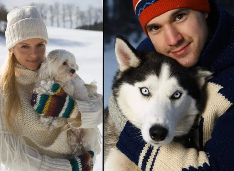 Antes de la "escapadita" del fin de semana largo, destacan beneficios de viajar con mascotas