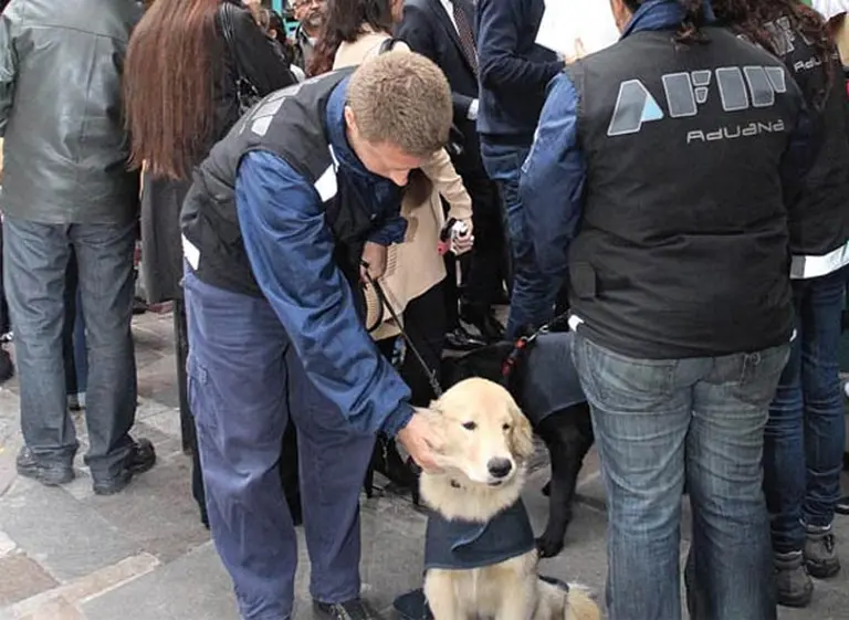 La AFIP aumentó las trabas a la compra de dólares para viajar al exterior