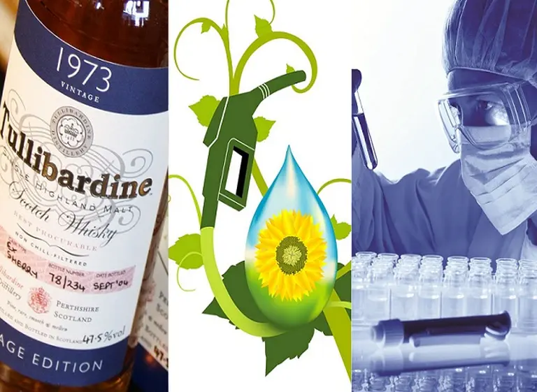 Un whisky escocés se convierte en fuente de biocombustible para autos