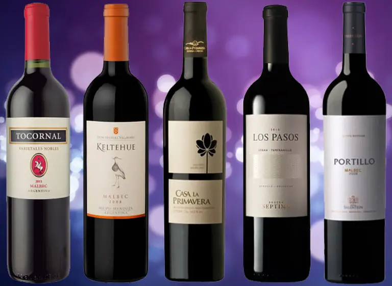 Vinos recomendados: cinco etiquetas low cost ideales para disfrutar con un asado