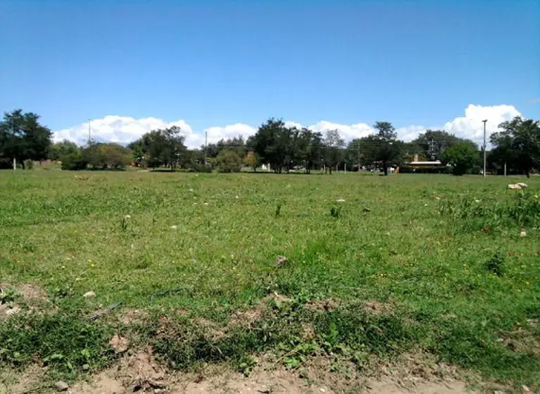 Por ley, si un terreno está vací­o durante cinco años podrá ser expropiado