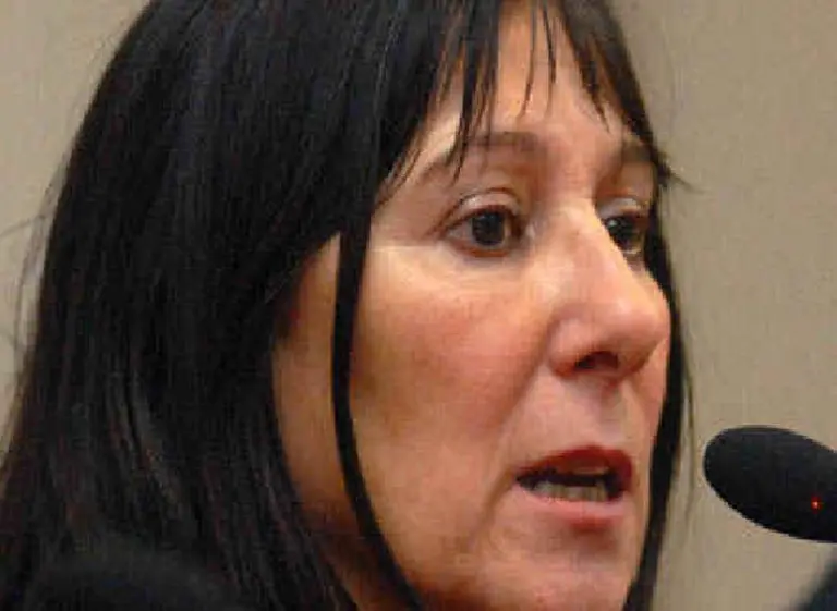 Felisa Miceli: "Sí­, llevé una bolsa con dinero al baño, pero no era un ladrillo del Central"