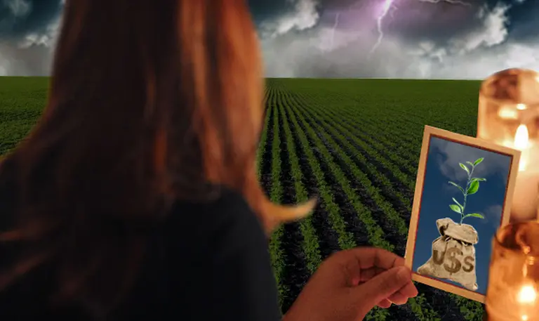 Respira el Gobierno: el "efecto soja" frena el derrumbe del superávit comercial