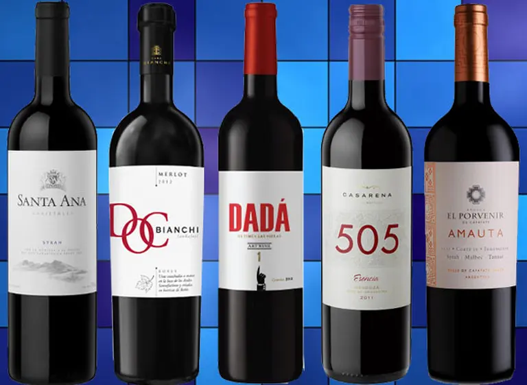 Vinos recomendados: cinco etiquetas "de estreno" y aptas para todos los bolsillos