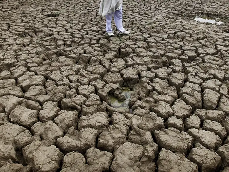 La sequí­a que sufre la pampa húmeda es la peor en 44 años