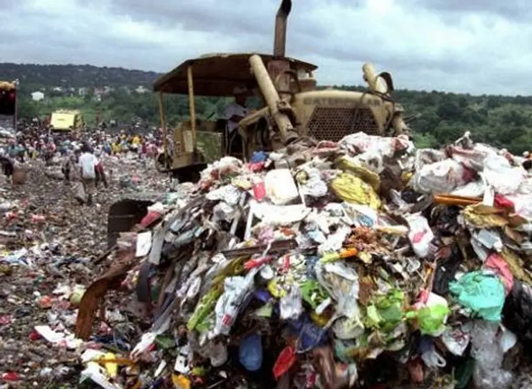 Un estudio reveló que la mitad de los alimentos del mundo acaba en la basura