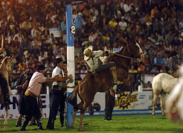 Tras la muerte de varios caballos, hackearon la página web del festival de Jesús Marí­a