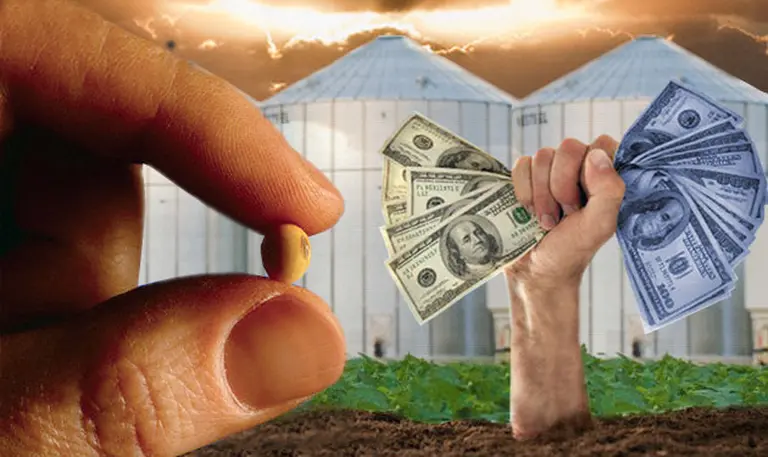 El blue sube, los sojadólares no aparecen y en el campo temen que se avance con una "Junta Nacional de Granos"