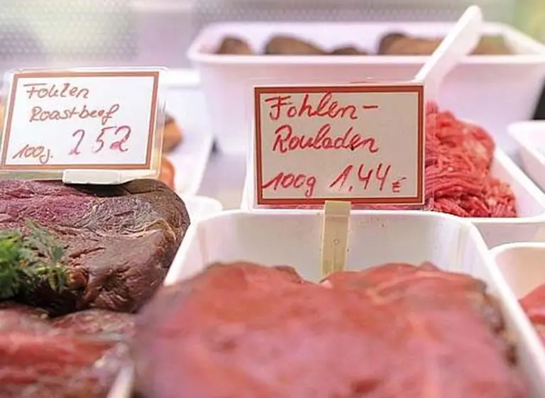 Escándalo en el mundo por la elaboración de alimentos con carne de caballo