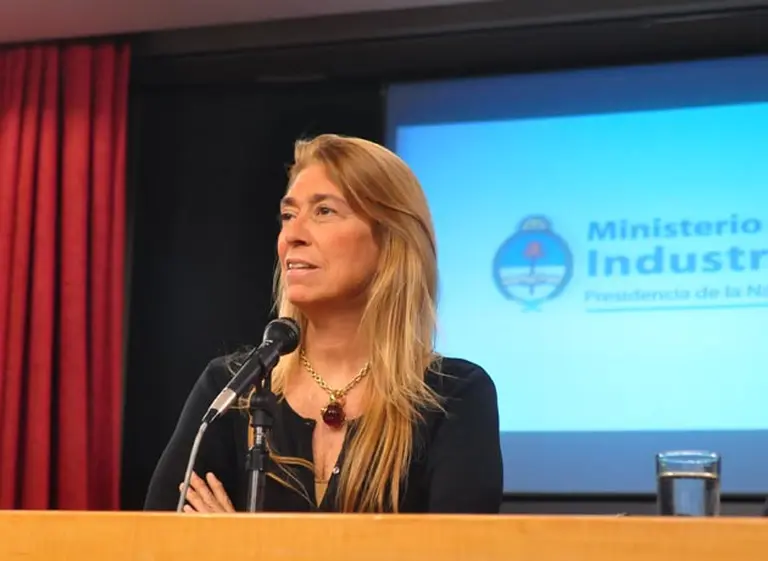 Giorgi, a la industria automotriz: "El mercado argentino es para el que produzca en Argentina"