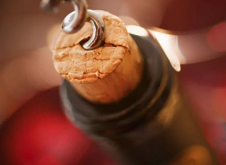 El INTA lanzó el "desafí­o brett" para ver quiénes son capaces de detectar un Malbec contaminado