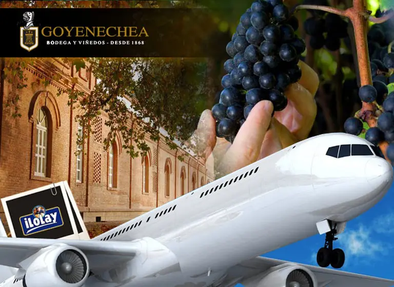 íšltimo dí­a para participar por un viaje a Mendoza para visitar Bodega Goyenechea y vivir a pleno la experiencia del vino