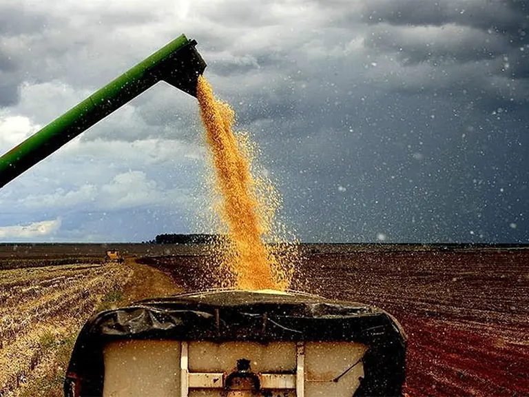 Aseguran que el Estado argentino se queda con el 76% de la ganancia del campo