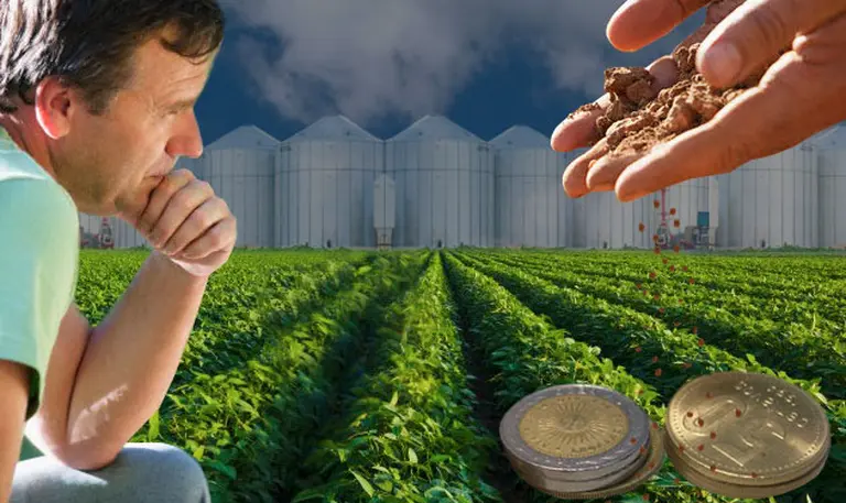 Finalizó la cosecha de soja y la producción creció un 20 por ciento