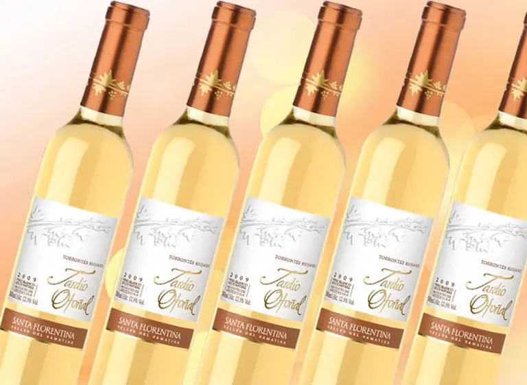 Tardí­o Otoñal Torrontés Riojano, la propuesta de Santa Florentina para esta época del año