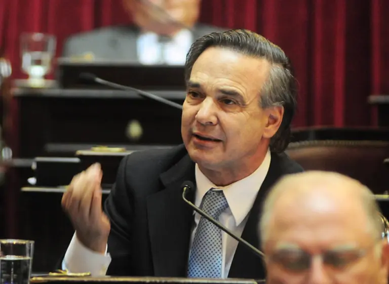 Miguel Angel Pichetto: "Uno de los problemas del paí­s es la estructura corporativa"