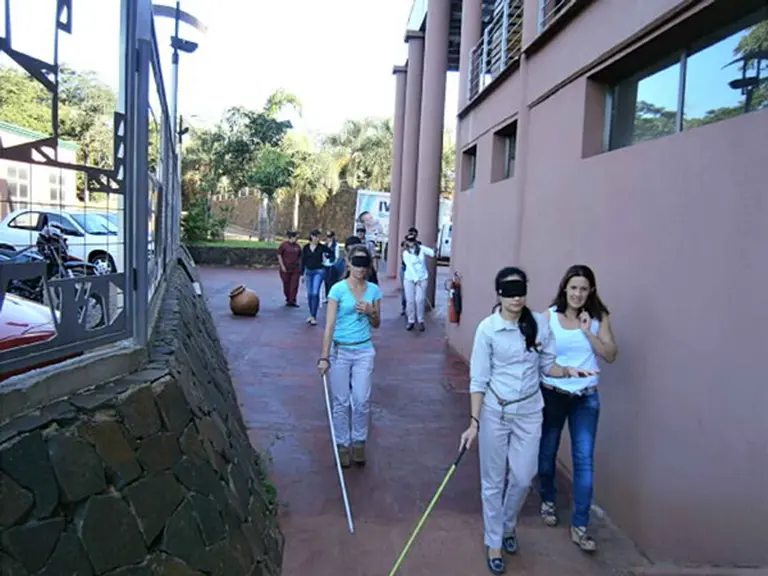 Crearon un retina biónica para que los ciegos puedan recuperar la visión