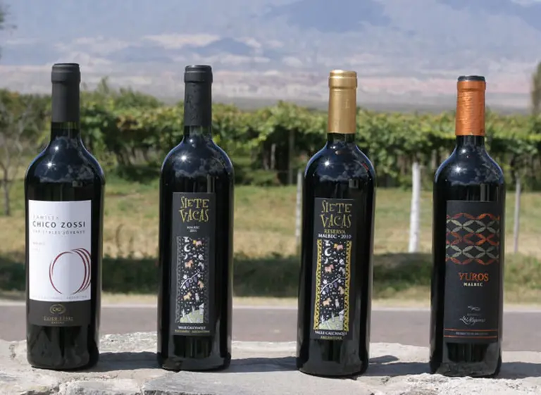 Las bodegas del Tucumán irrumpen en el mercado con vinos de alta gama y el "ADN" del terroir marcado a fuego