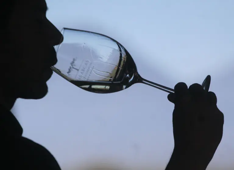 Vinos recomendados: diez etiquetas del Tucumán para conocer a fondo este "nuevo" terroir