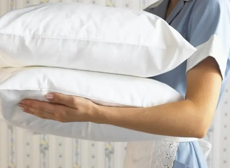 Aportes del empleo doméstico: ahora la AFIP publicó una "fe de erratas"