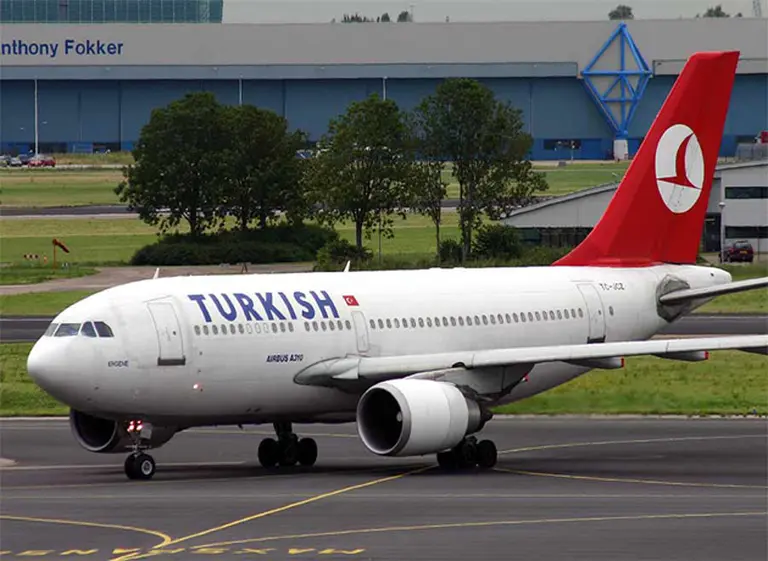 Turkish Airlines inaugura en julio un vuelo diario a Buenos Aires