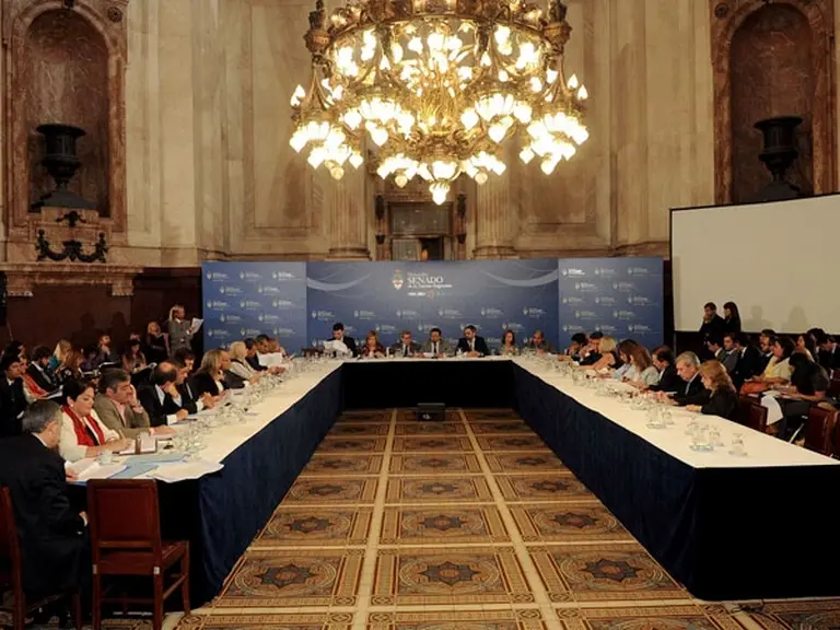 En medio de fuertes crí­ticas, el Senado retomó el debate del proyecto de blanqueo de capitales