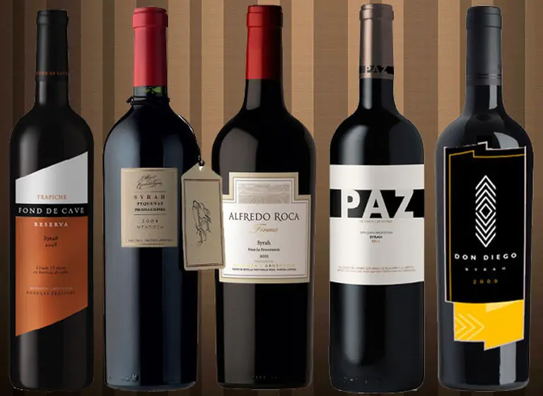 Vinos recomendados: cinco Syrah de distintas regiones para hacer frente al otoño